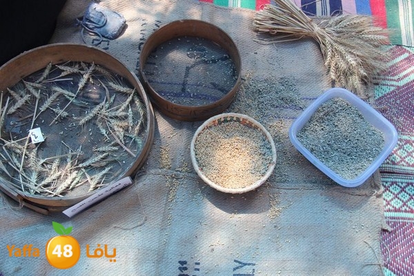 kids 3onab rawda 0430 (86).JPG